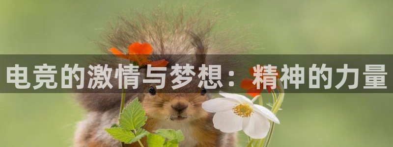 uwin电竞 app：电竞的激情与梦想：精神的力量