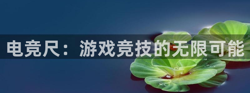 uwin电竞app下载：电竞尺：游戏竞技的无限可能