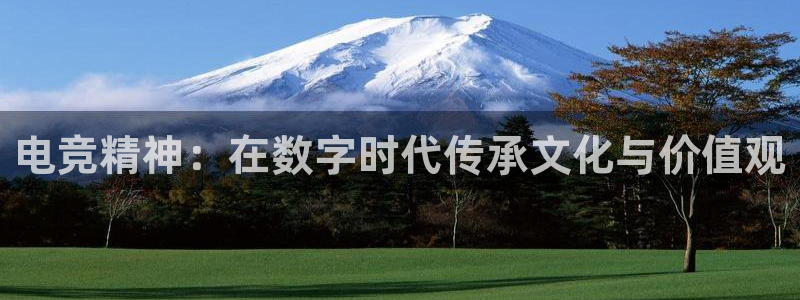 Uwin电竞在线：电竞精神：在数字时代传承文化与价值观