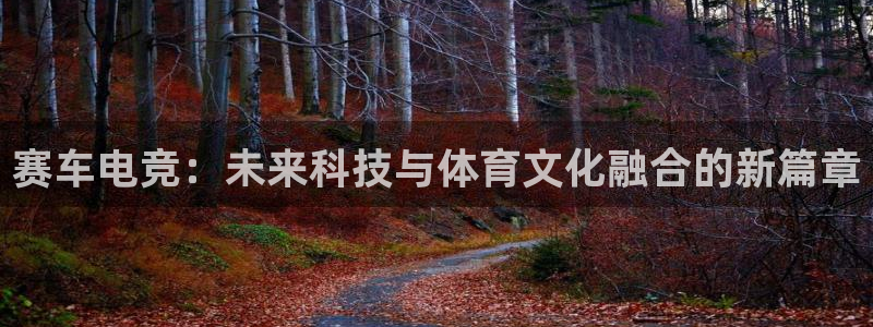uwin电竞网址：赛车电竞：未来科技与体育文化融合的新篇章