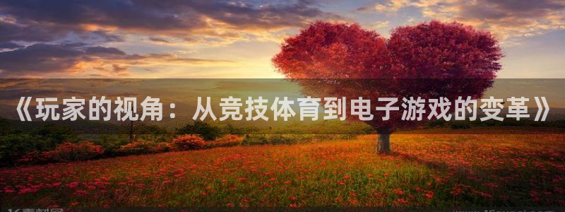 Uwin电竞在线：《玩家的视角：从竞技体育到电子游戏的变革》