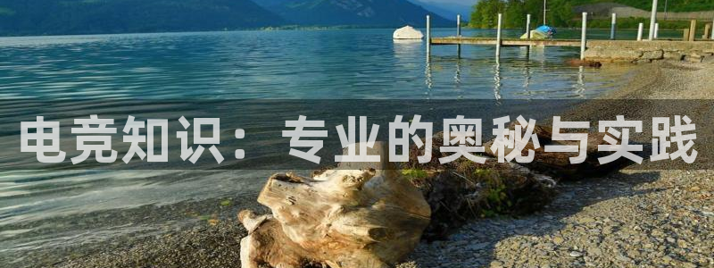 UWIN电竞·(中国)集团：电竞知识：专业的奥秘与实践
