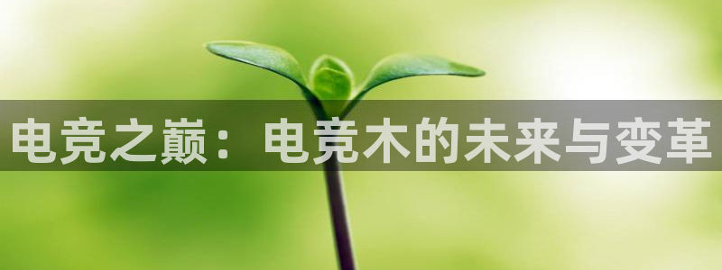 uwin电竞app下载：电竞之巅：电竞木的未来与变革