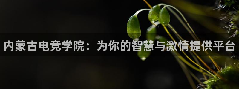 uwin电竞官网：内蒙古电竞学院：为你的智慧与激情提供平台