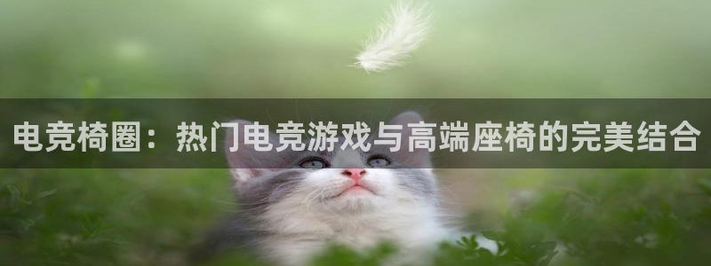 uwin电竞下载：电竞椅圈：热门电竞游戏与高端座椅的完美结合